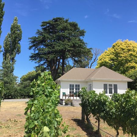 Tuki Vineyard Cottage Havelock North Extérieur photo